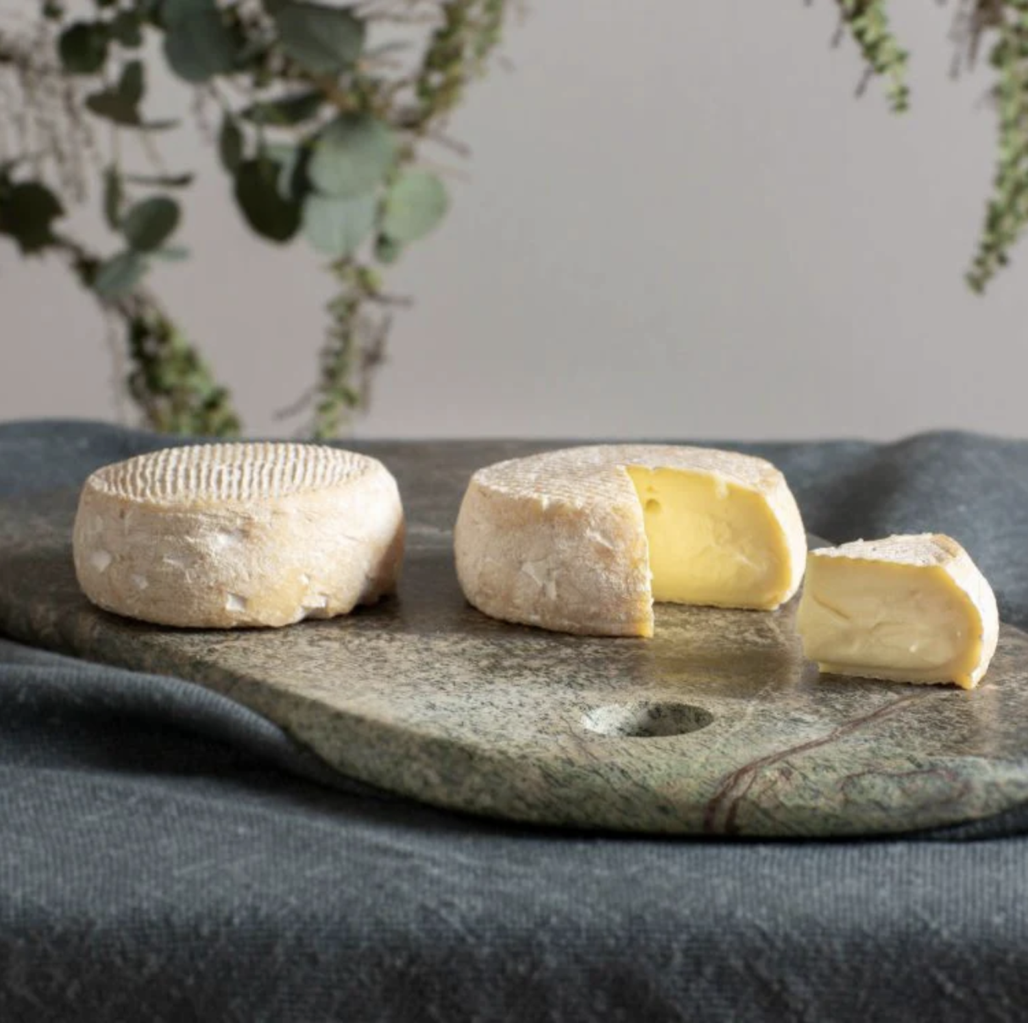 Ceridwen Brown - Milawa Cheese