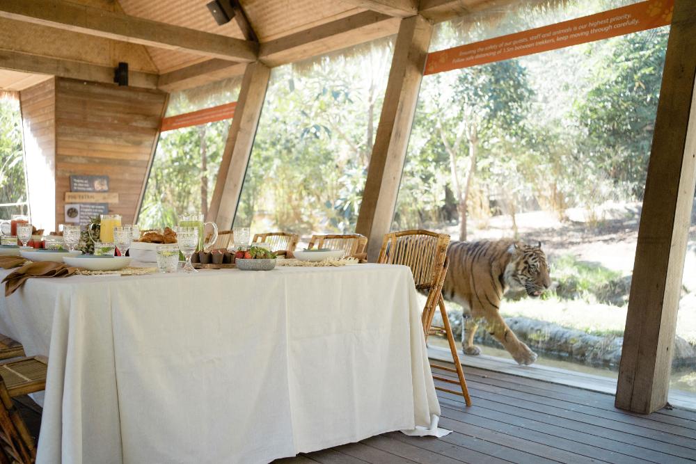 Tiger Trek